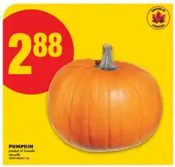 No Frills PUMPKIN offer