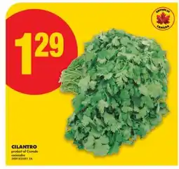 No Frills CILANTRO offer