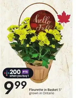 Sobeys Fleurette in Basket offer