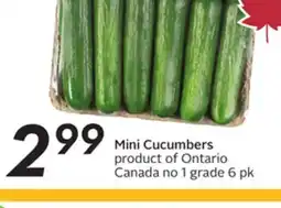 Sobeys Mini Cucumbers offer