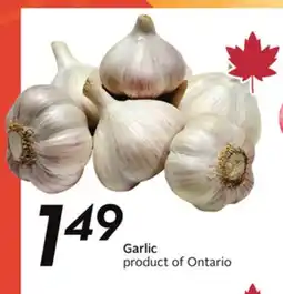 Sobeys Garlic offer