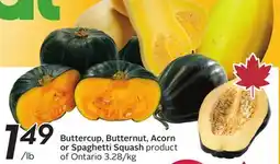 Sobeys Buttercup, Butternut, Acorn or Spaghetti Squash offer