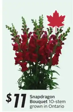 Sobeys Snapdragon Bouquet offer