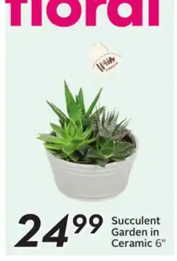 Sobeys Succulent Garden in Ceramic offer
