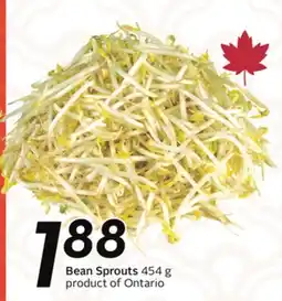 Sobeys Bean Sprouts offer