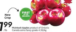 Sobeys McIntosh Apples offer
