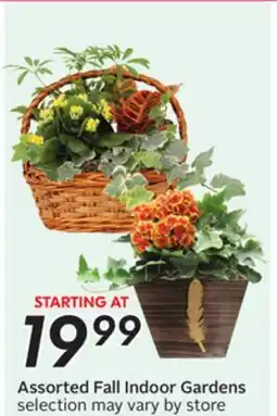 Sobeys Assorted Fall Indoor Gardens offer