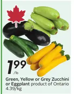 Sobeys Green, Yellow or Grey Zucchini or Eggplant offer