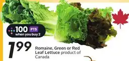 Sobeys Romaine, Green or Red Leaf Lettuce offer