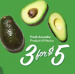 Longo's Fresh Avocados offer