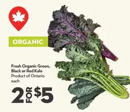 Longo's Fresh Organic Green, Black or Red Kale offer