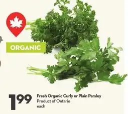 Longo's Fresh Organic Curly or Plain Parsley offer