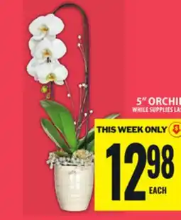 Food Basics 5 ORCHID offer