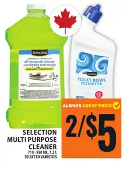 Food Basics SELECTION MULTI PURPOSE CLEANER offer
