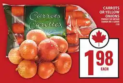 Food Basics CARROTS OR YELLOW ONIONS offer