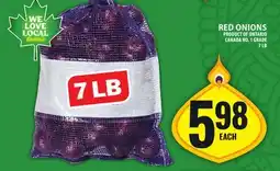 Food Basics RED ONIONS offer