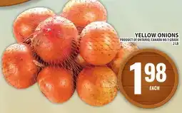 Food Basics YELLOW ONIONS offer