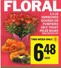 Food Basics 3.5 LB VARNISHED GOURDS OR PUMPKINS OR 6 POINT PELEE MUMS offer