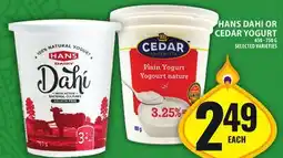 Food Basics HANS DAHI OR CEDAR YOGURT offer