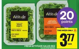 Food Basics FRESH ATTITUDE SALAD MIX offer