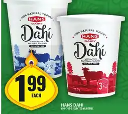 Food Basics HANS DAHI offer