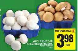 Food Basics WHOLE WHITE OR CREMINI MUSHROOMS offer