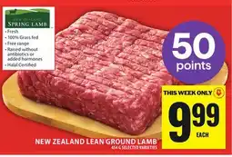Food Basics NEW ZEALAND LEAN GROUND LAMB offer