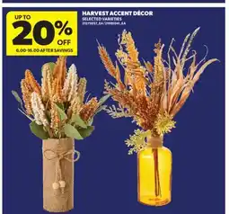 Real Canadian Superstore HARVEST ACCENT DÉCOR offer