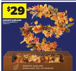 Real Canadian Superstore HARVEST GARLAND, 6' offer