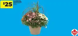 Real Canadian Superstore PC MUM WITH GRASS PLANTER, 13 INCH offer
