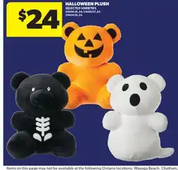 Real Canadian Superstore HALLOWEEN PLUSH offer
