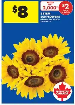 Real Canadian Superstore 5 STEM SUNFLOWERS offer