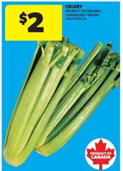 Real Canadian Superstore CELERY offer