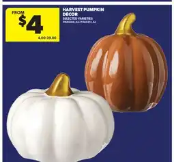 Real Canadian Superstore HARVEST PUMPKIN DÉCOR offer