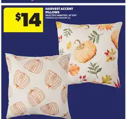 Real Canadian Superstore HARVEST ACCENT PILLOWS, 16 X16 offer