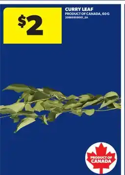 Real Canadian Superstore CURRY LEAF, 60 G offer