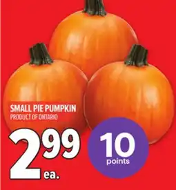 Metro SMALL PIE PUMPKIN offer