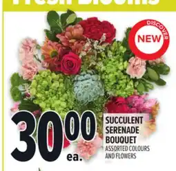 Metro SUCCULENT SERENADE BOUQUET offer