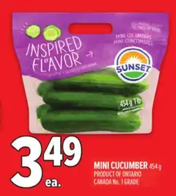 Metro MINI CUCUMBER offer