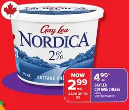 Metro GAY LEA COTTAGE CHEESE offer