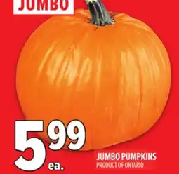 Metro JUMBO PUMPKINS offer