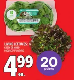 Metro LIVING LETTUCES offer