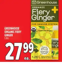 Metro GREENHOUSE ORGANIC FIERY GINGER offer
