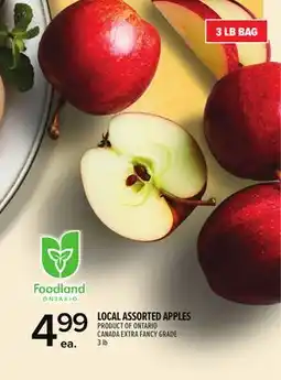 Metro LOCAL ASSORTED APPLES offer