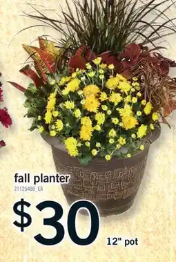 Fortinos 12 POT FALL PLANTER offer