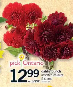 Fortinos DAHLIA BUNCH, 5 STEMS offer