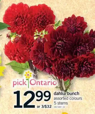 Fortinos DAHLIA BUNCH, 5 STEMS offer