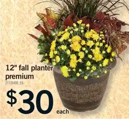 Fortinos 12 FALL PLANTER PREMIUM offer