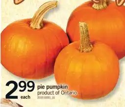 Fortinos PIE PUMPKIN offer