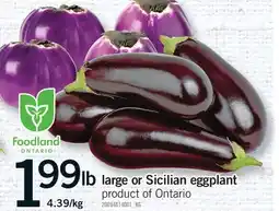 Fortinos LARGE OR SICILIAN EGGPLANT offer